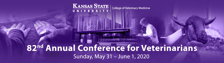 Banner for Conference