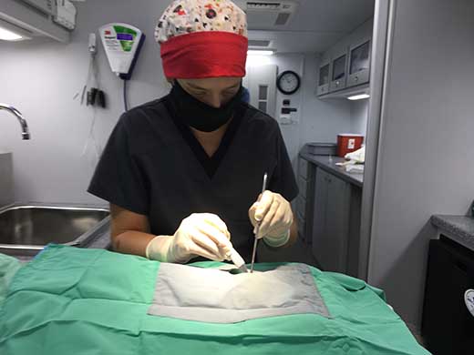 A student performs a surgery