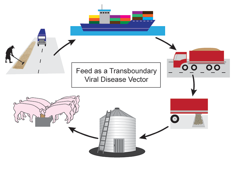 Feed as a viral vector graphic