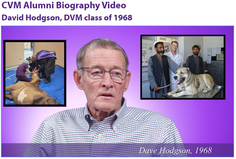 Dr. David Hodgson video capture