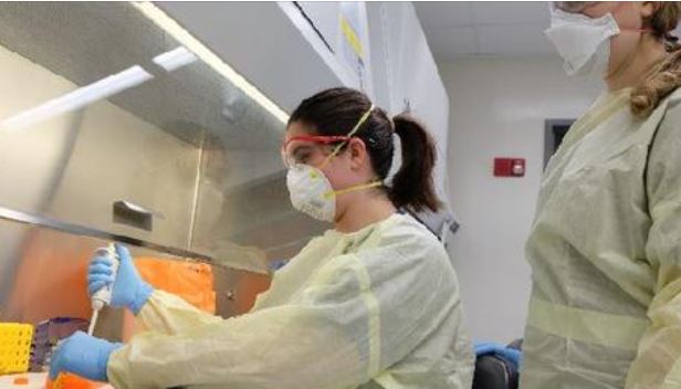 NBAF scholars work in training laboratory
