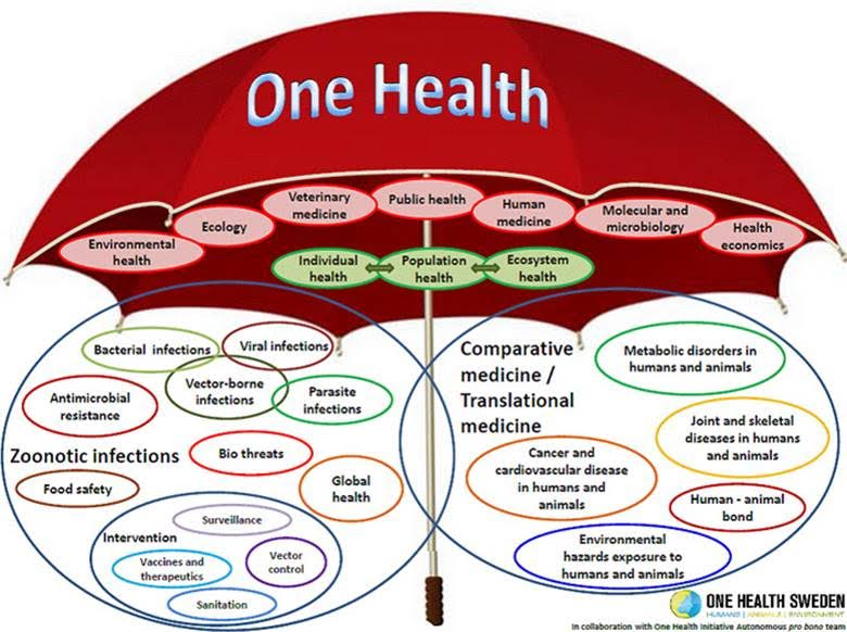One Health Umbrella