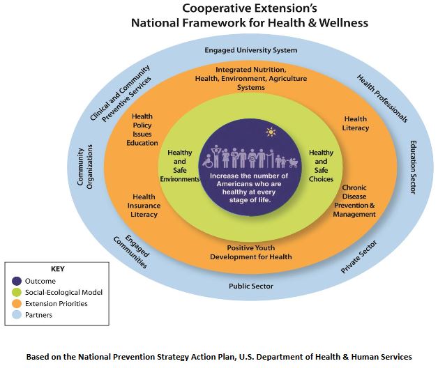 Health and Wellness graph