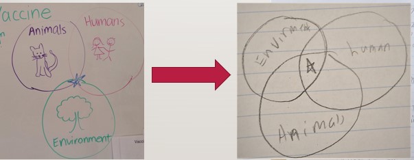 Venn Diagram for teaching children about One Health