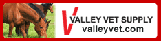 Valley Vet 