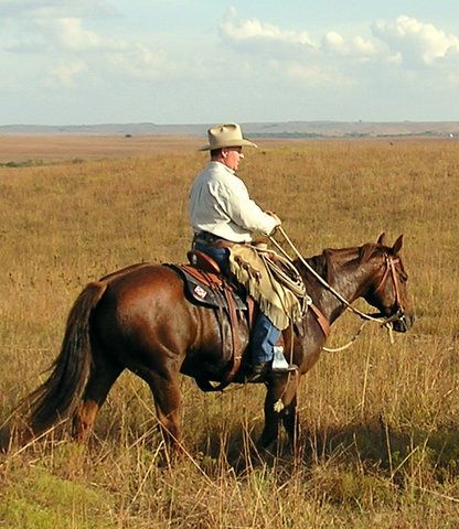 Randal Raub