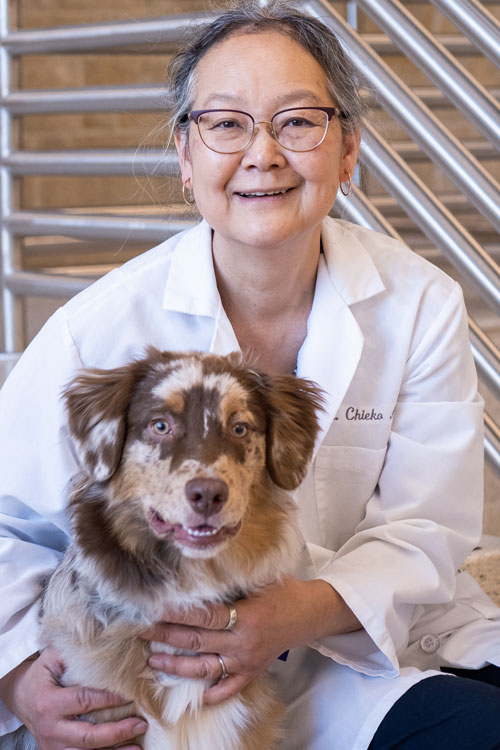 Chieko Azuma, DVM, PhD, DACVR