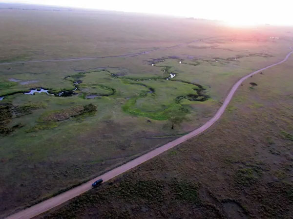 ariel view of serengeti