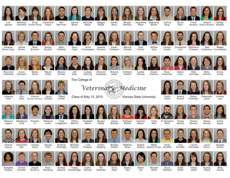 2015 Composite