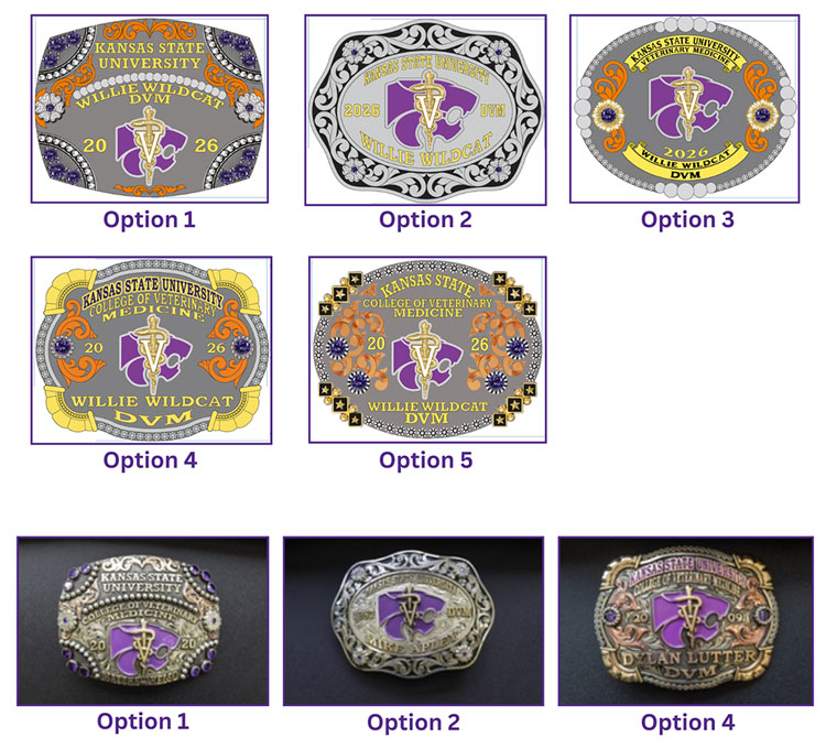 Eight different belt buckle style options with various designs and colors