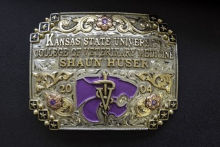 Buckle Option 4