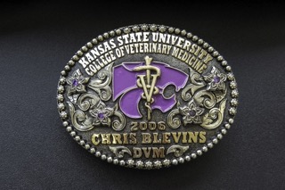 Buckle Option 6