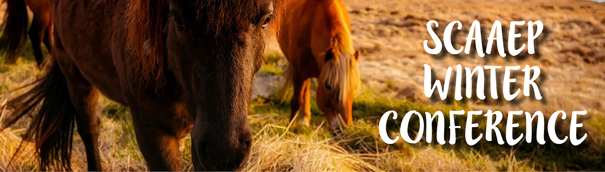 Horse Conference Banner horse conference