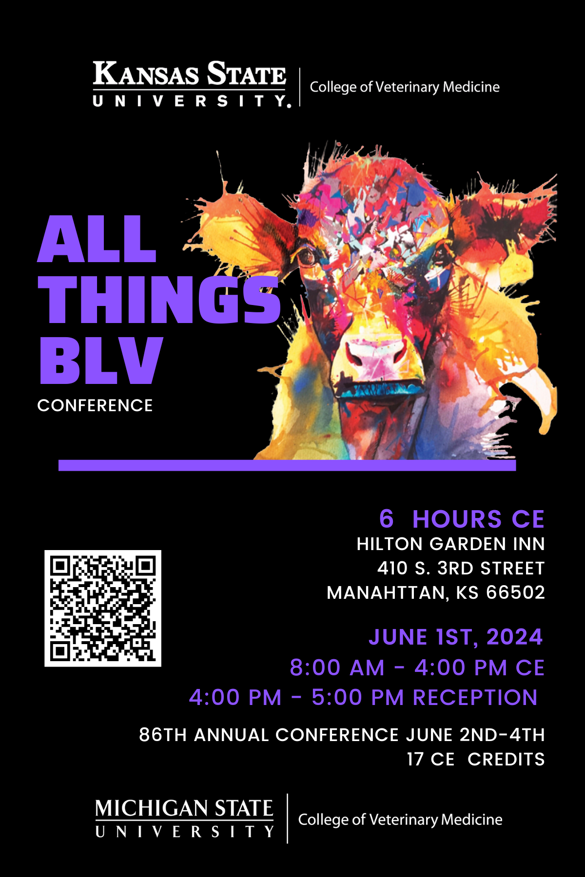 All Things BLV flyer