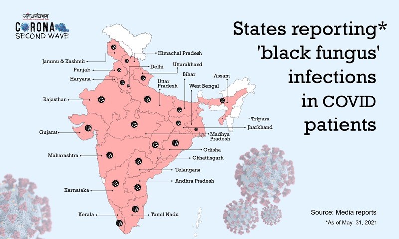 Black fungus map cases in India