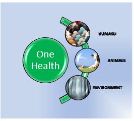 One Health Concept Graph