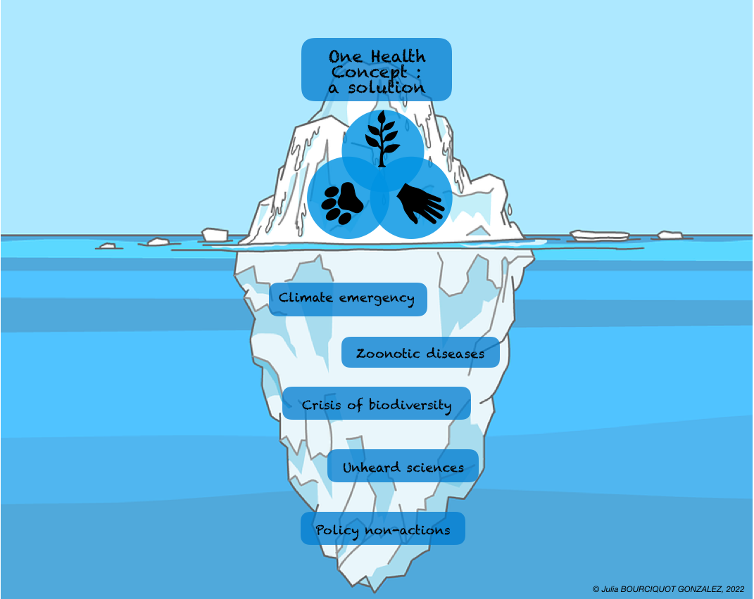 One Health Iceberg