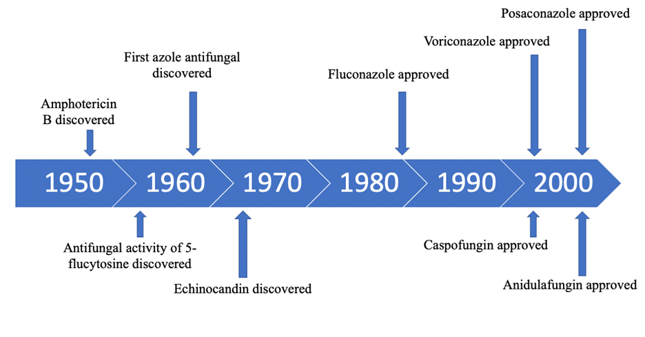 timeline