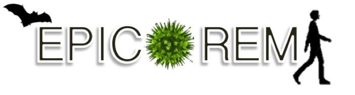 Coronavirus.fr logo