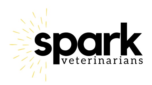 SPARK logo