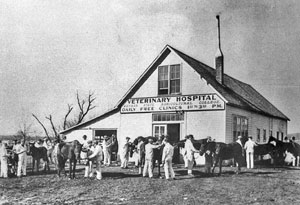 Kansas State University College of Veterinary Medicine