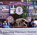 cvm float