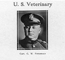 Authorized veterinary units of the R.O.T.C. - 1916