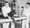 Small animal examination - 1947