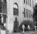 Veterinary medicine graduates - 1951