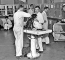 Small animal lab - 1954