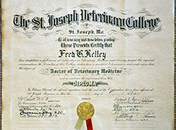 Diploma