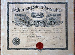 Diploma