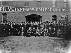 Vet College