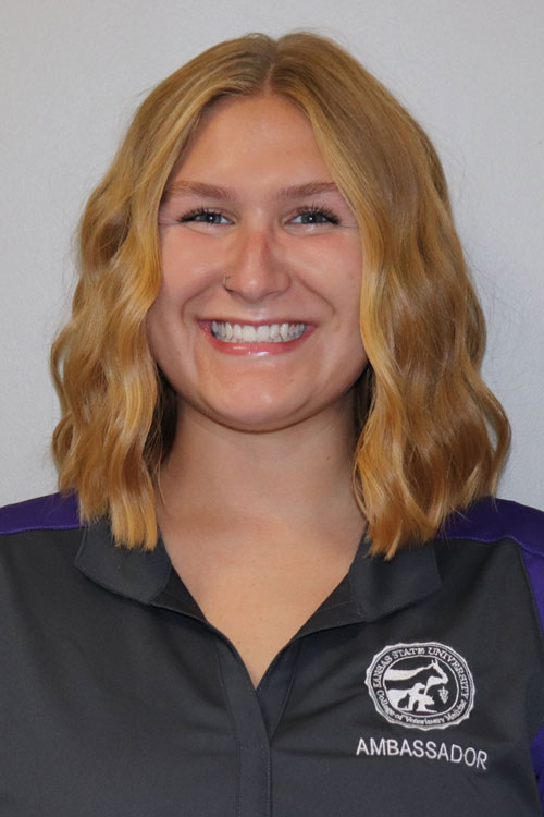 Headshot of Lynsey Buehler