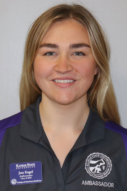 Headshot of Jessica Engel