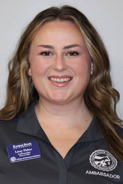 Headshot of Elizabeth Fisher