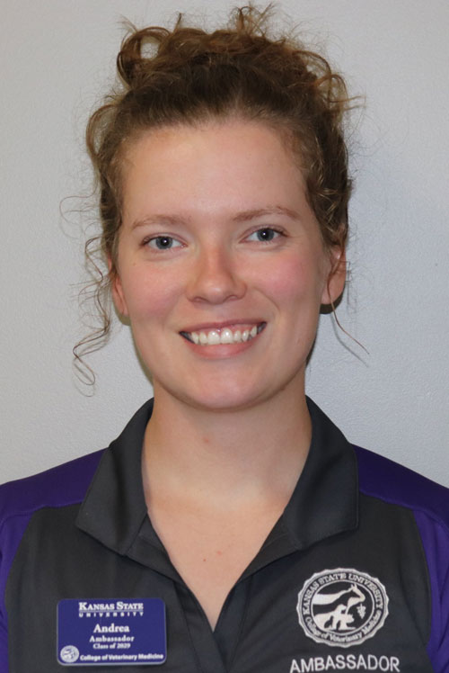 Headshot of Andrea Rankin