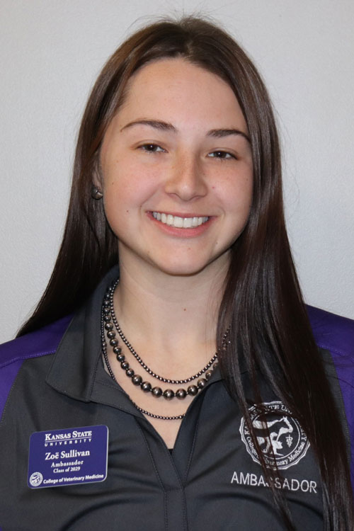 Headshot of Zoe Sullivan