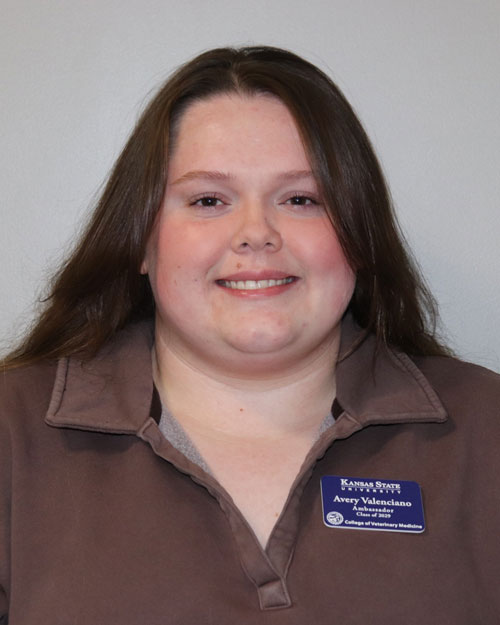 Headshot of Avery Valenciano