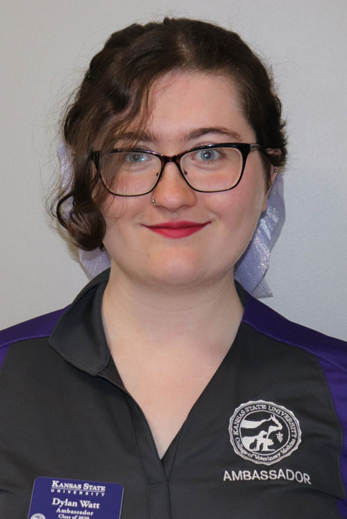 Headshot of Dylan Watt