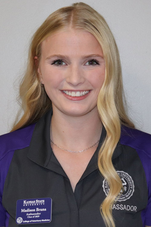 Headshot of Madison Bruna