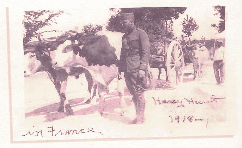 Lt. Harry Hunt tends to mules in France during WWI