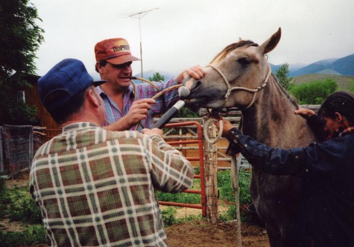 Dr. Robert Cope tubes a young horse with mineral oil to relieve an impaction.