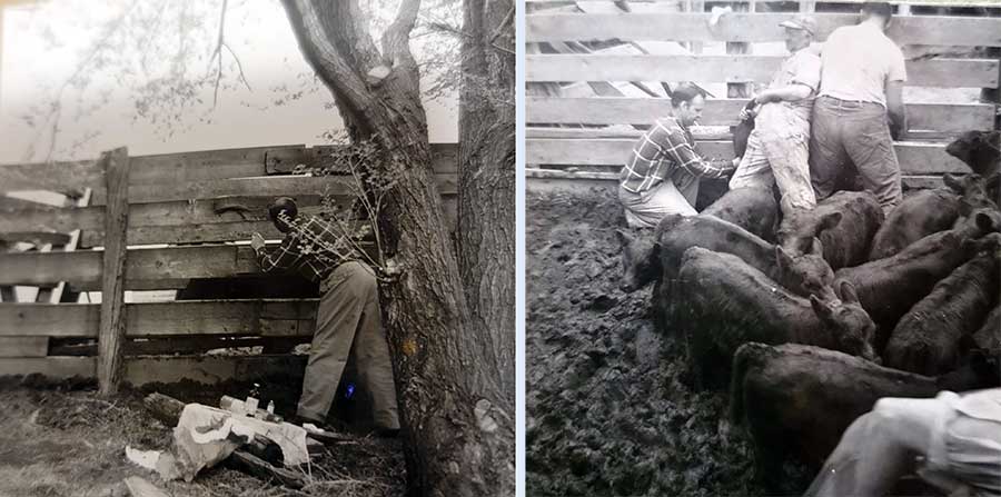 photo collage number one