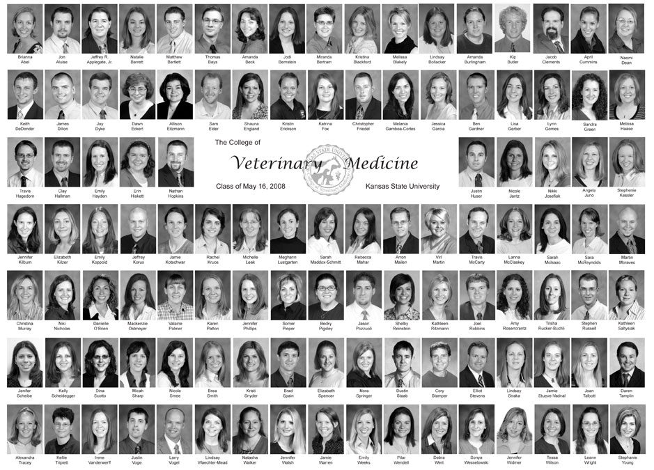 Class of 2008 composite