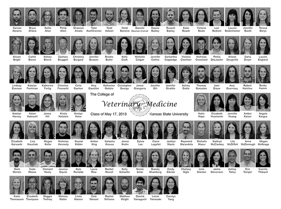 Class of 2013 composite