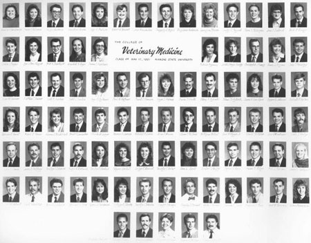 Class of 1991 composite