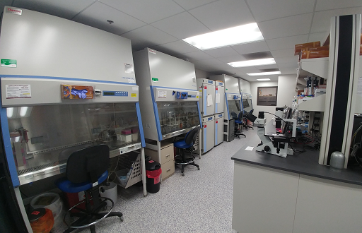 tissue culture suite