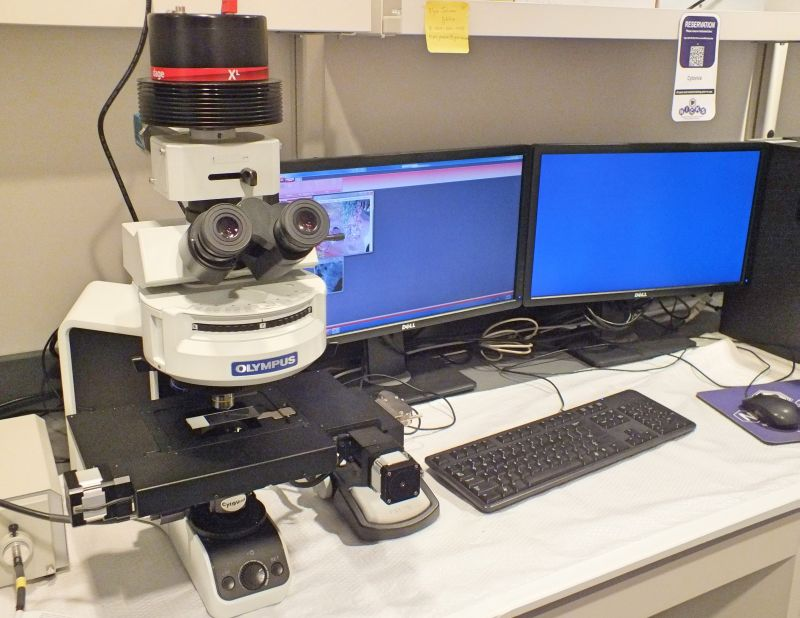 CytoViva enhanced darkfield hyperspectral microscope 