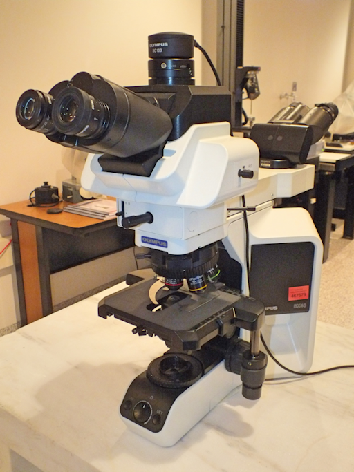 Olympus BX43 dual view light microscope